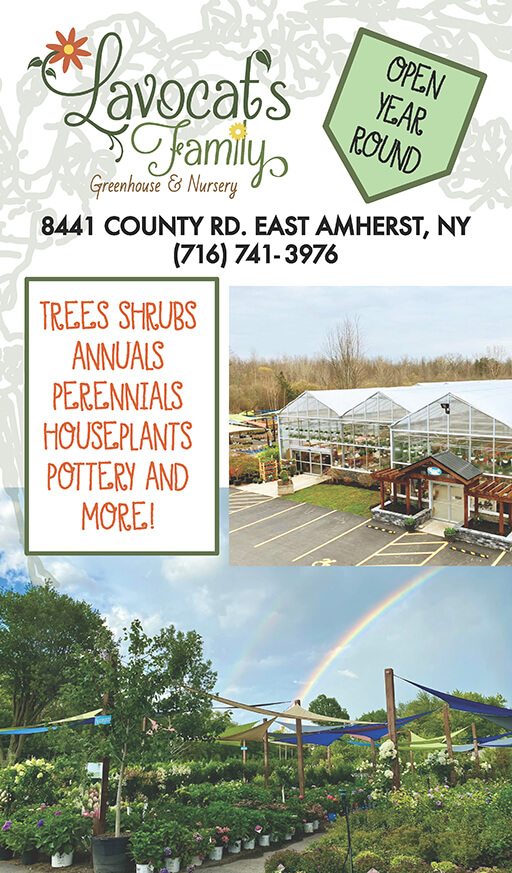 Lavocats Family Greenhouse and Nursery