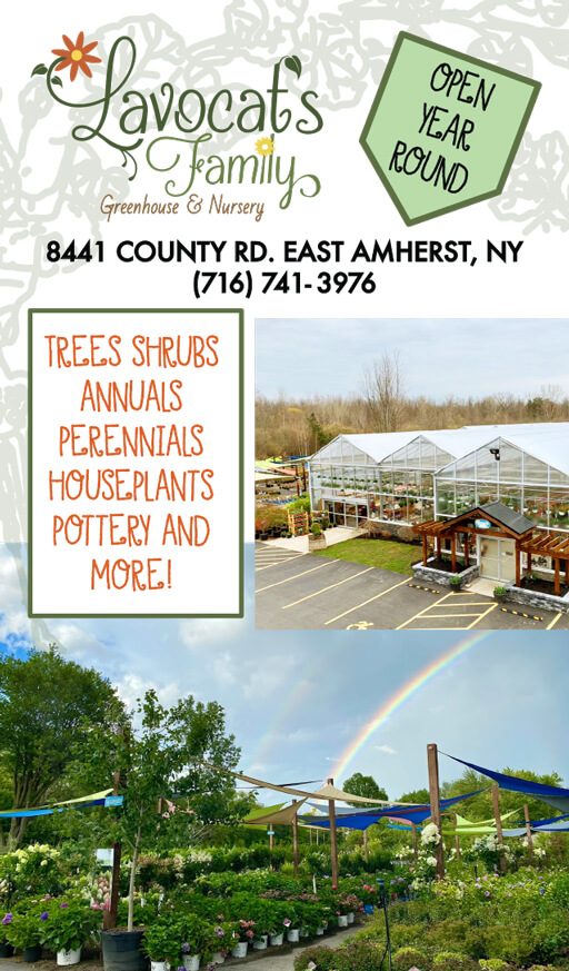 Lavocats Family Greenhouse and Nursery